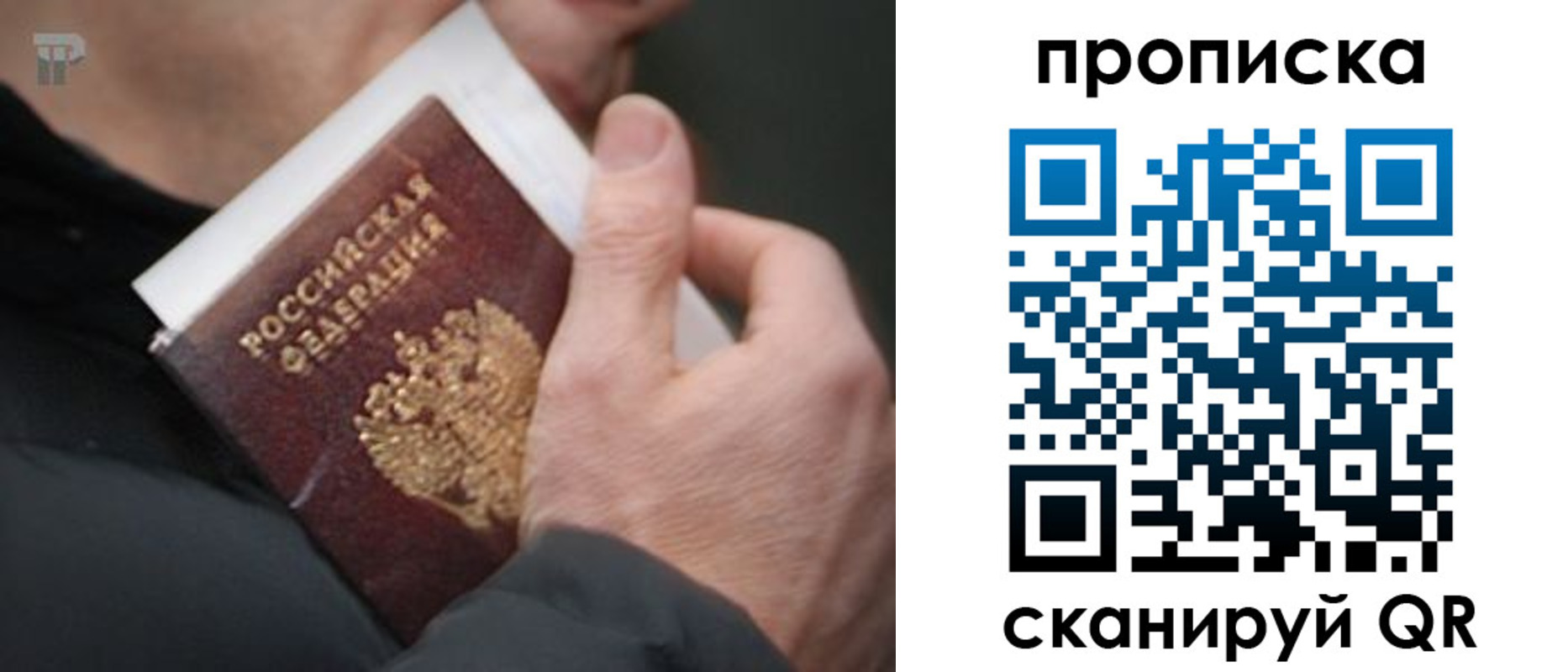 временная регистрация гарантия в Нелидово